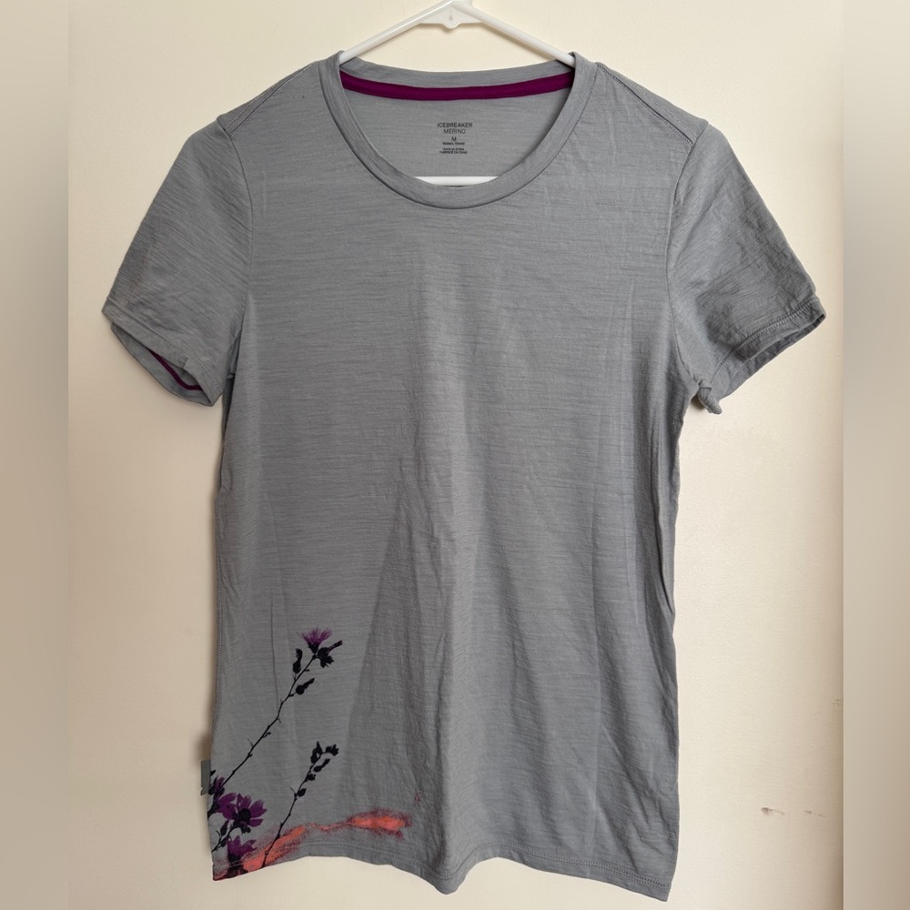 Icebreaker merino wool graphic T